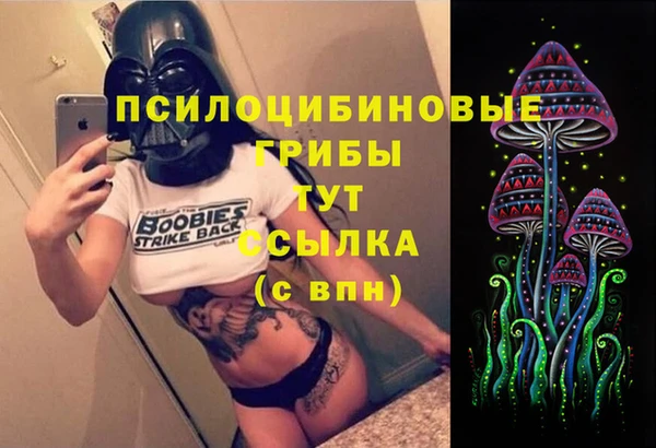 спайс Алзамай