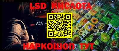 индика Ирбит