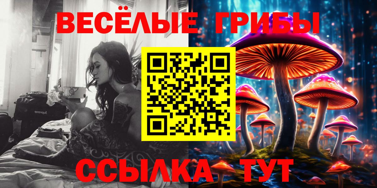 Псилоцибиновые грибы MAGIC MUSHROOMS Нижнеудинск